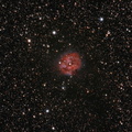 Nebulosa del Capullo