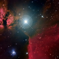 Alnitak y la nebulosa Flama II