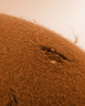 AR1542